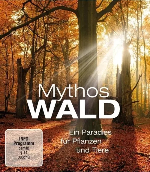神话的森林Mythos Wald